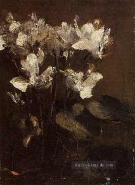  fleurs - Fleurs cyclamens Henri Fantin Latour